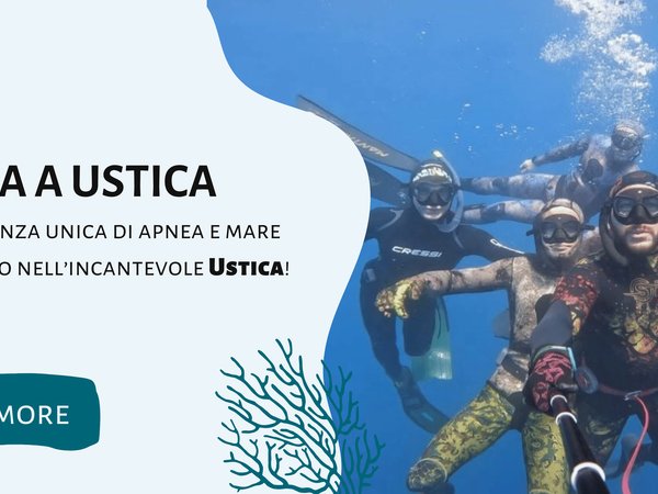Immagine di copertina della notizia }}