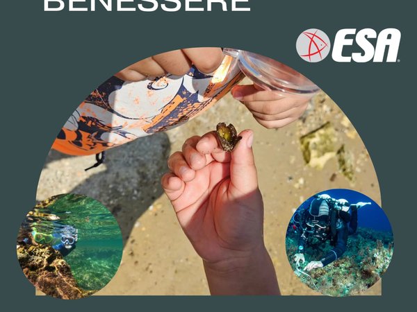 Una questione di awareness