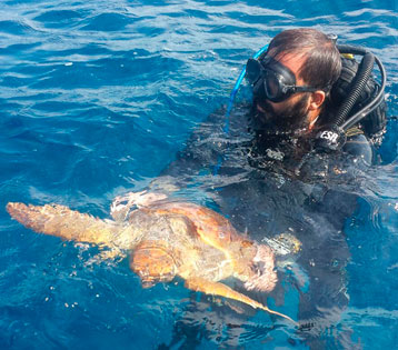 Bruce Luche protagonista del salvataggio di una tartaruga marina