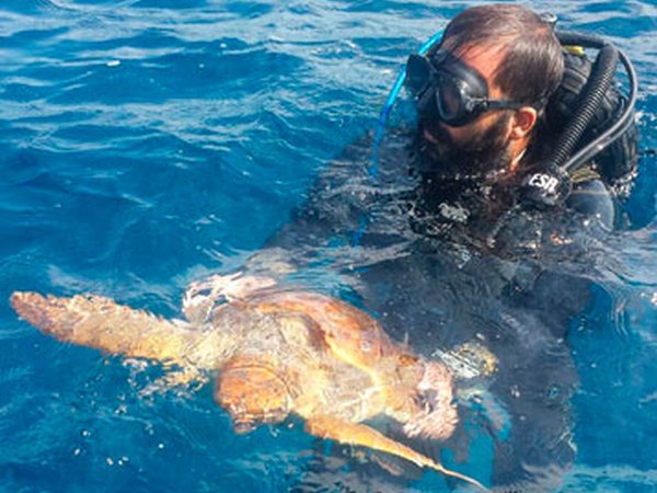 Bruce Luche protagonista del salvataggio di una tartaruga marina