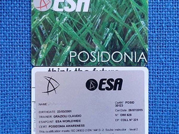 ESA certification