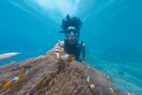 Corso gratuito di Snorkeling