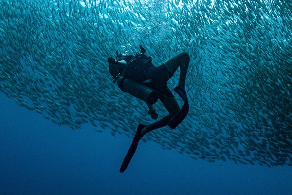 Kit didattico OWD - Open Water Diver